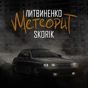 Метеорит Ft Skorik